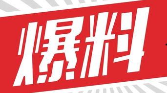 独家爆料官网,揭秘幕后真相，一探究竟！