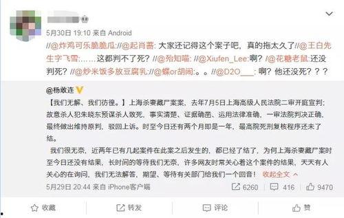 社会热点话题事件2025 9-1-1爆料网,揭秘“爆料网”引发的舆论风暴
