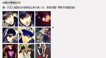 明星八卦爆料网站推荐 社会热点插画,明星八卦网站独家插画揭秘社会热点