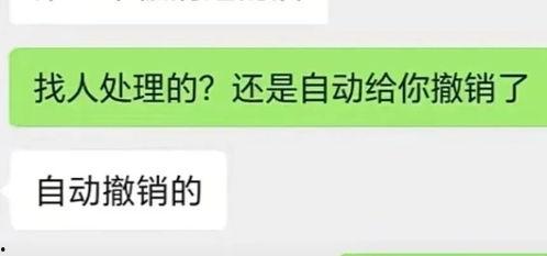 抖音爆料吃瓜观看在线 51朝阳吃瓜,抖音爆料，揭秘热门事件幕后真相