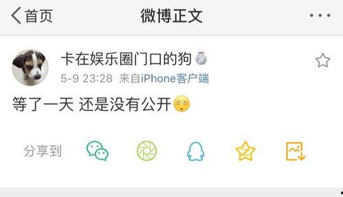 吃瓜爆料 独家爆料是什么意思,揭秘幕后真相，一网打尽热点事件！